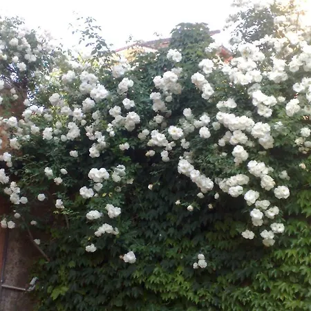 Deicappuccini Отель типа 