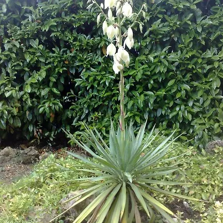 Deicappuccini Отель типа 